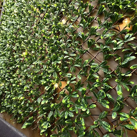 アパート Sulle Onde Del Relax, 600mt Dal Mare, Parcheggio Gratuito